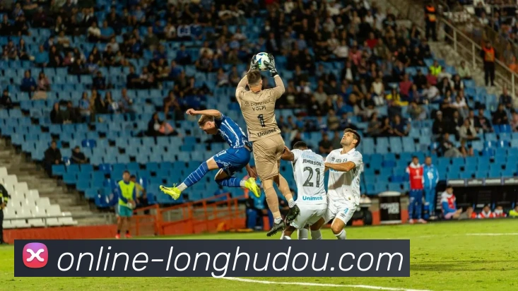 在线龙虎斗服务体系